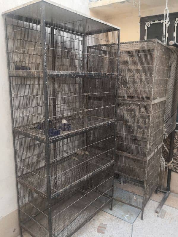 2 birds cages for sale 20000 final final final 1