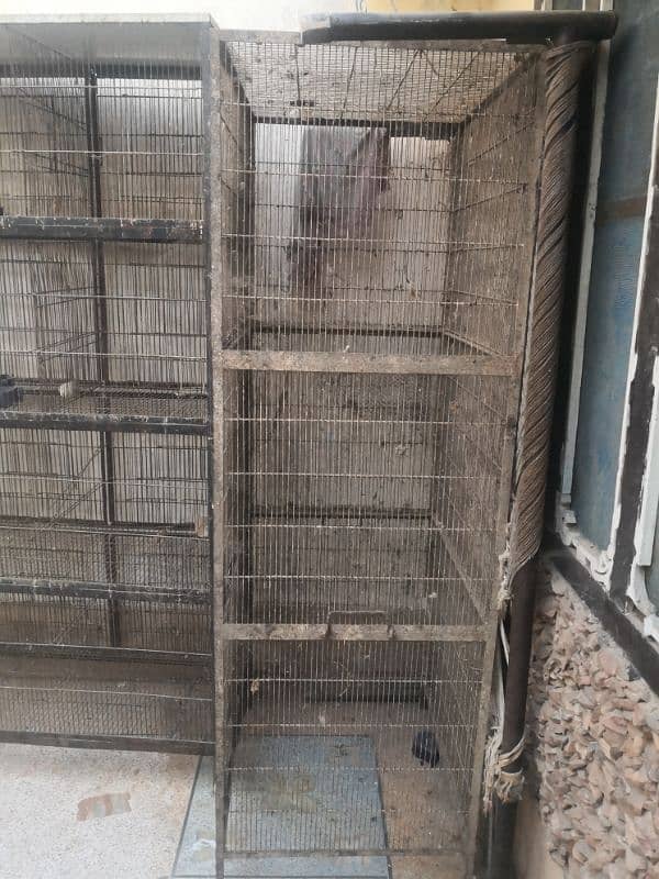 2 birds cages for sale 20000 final final final 2