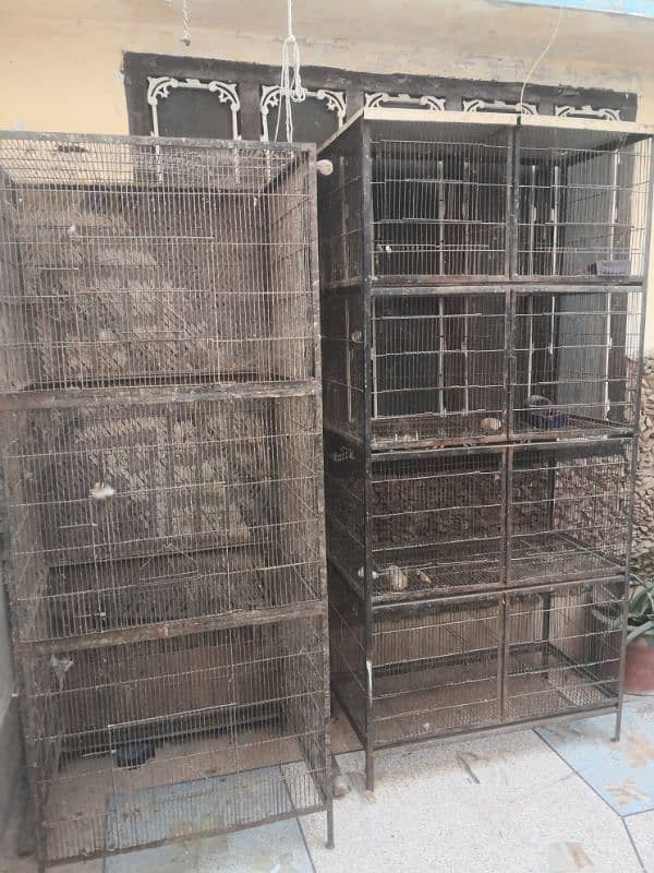 2 birds cages for sale 20000 final final final 3