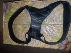 Back Sport Shoulder Belt