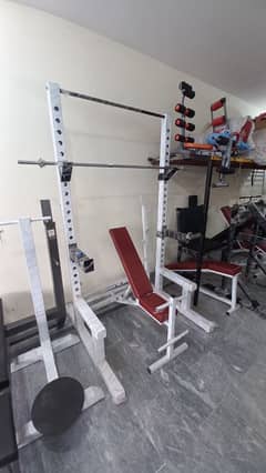 Squat rack smith machine multi gym cable cross over dumbbells pullup