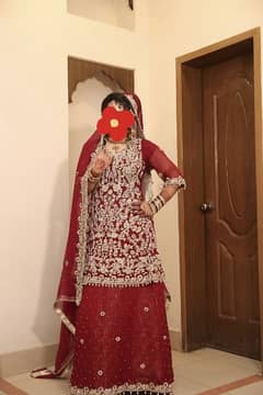 Wedding Lengha