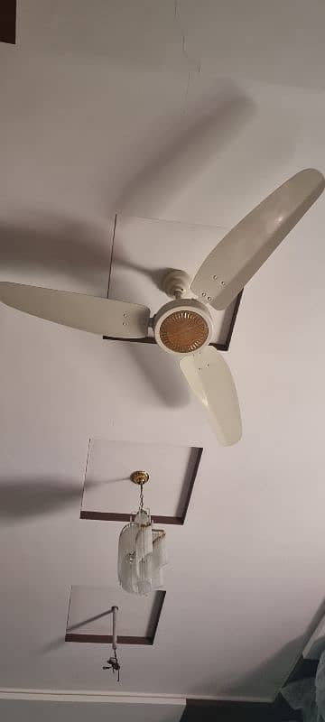 New Orignal Royal Ceiling Fans halfwhite color 2