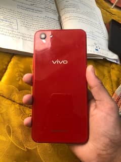 Vivo