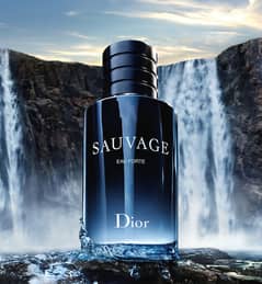 Sauvage Dior 100ml Perfume | Long Lasting Fragrance