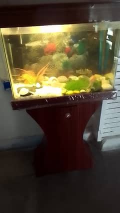 Aquarium