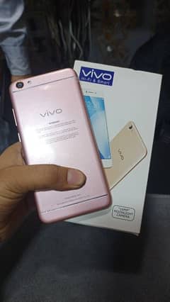 vivo