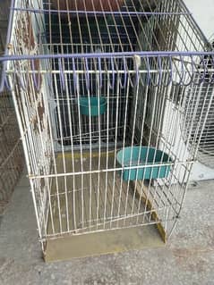 bird cage 500 each