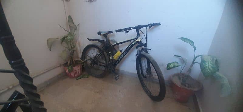 front jumps gear disk brakes full size 3