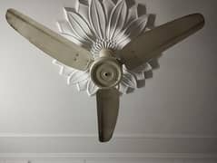 Ceiling Fans for sale