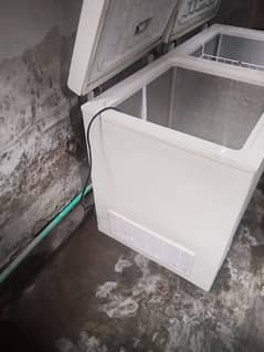 double door freezer