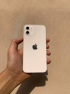 iPhone 12 (non pta ) fu 256 GB 4 month sim time