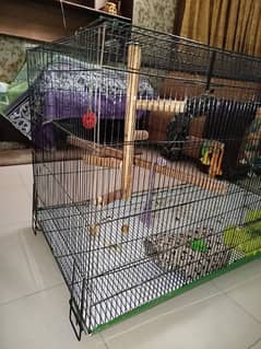 Parrot Cage