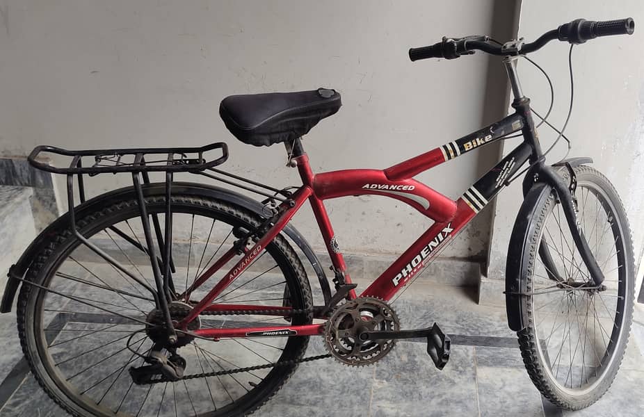 Used Phoenix Cycle (Seat 36 Inch High) 1