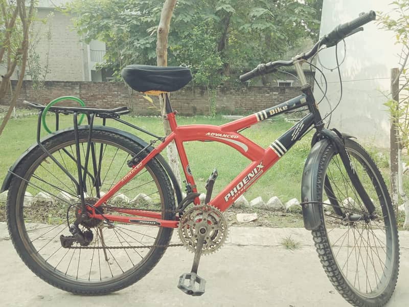 Used Phoenix Cycle (Seat 36 Inch High) 6