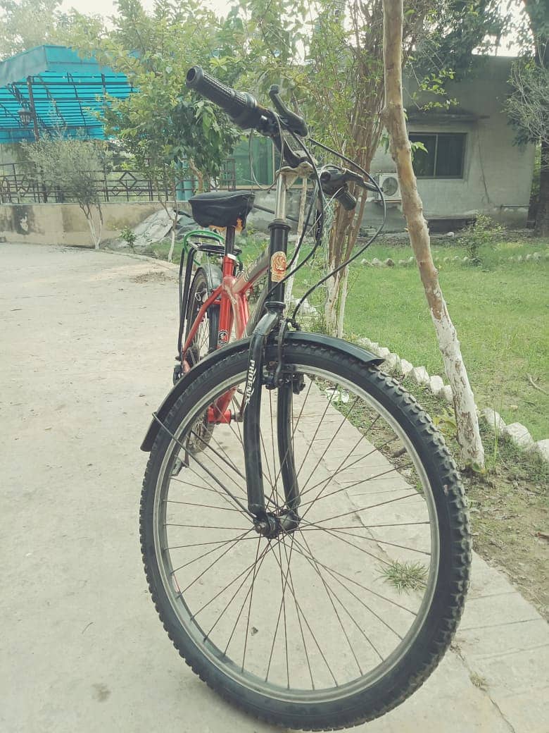 Used Phoenix Cycle (Seat 36 Inch High) 10