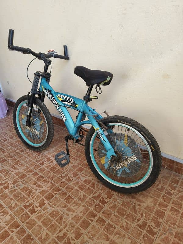 KIDS BICYCLE 0