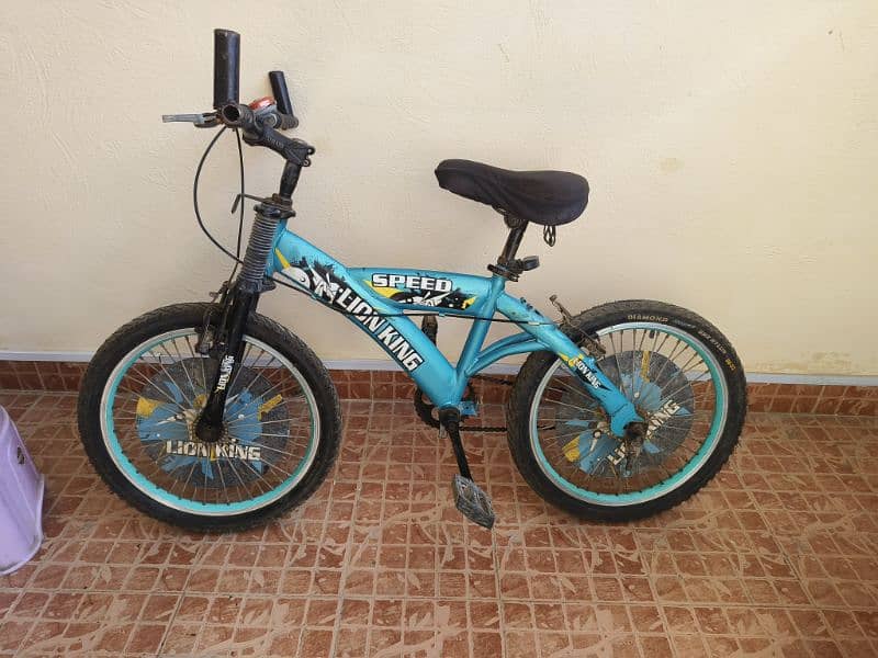 KIDS BICYCLE 1