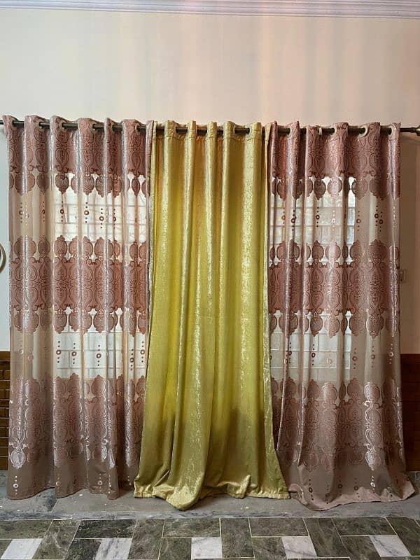 palachi and velvet curtains 0