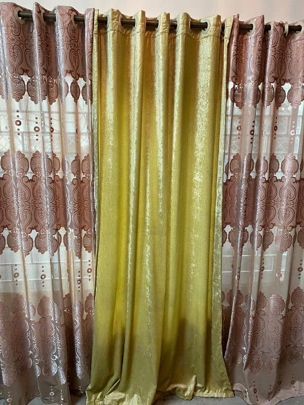 palachi and velvet curtains 1