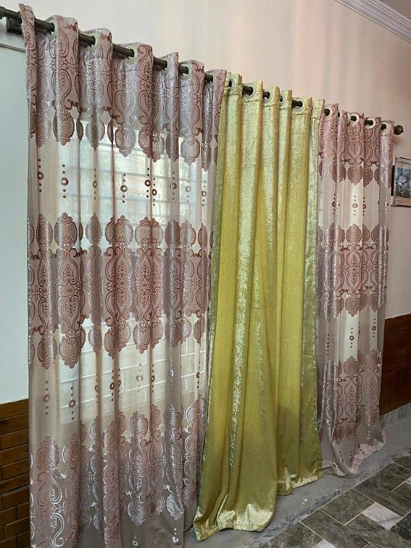 palachi and velvet curtains 2