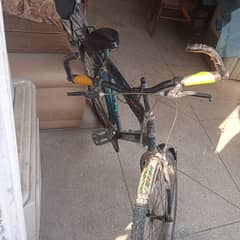 cycle for sale