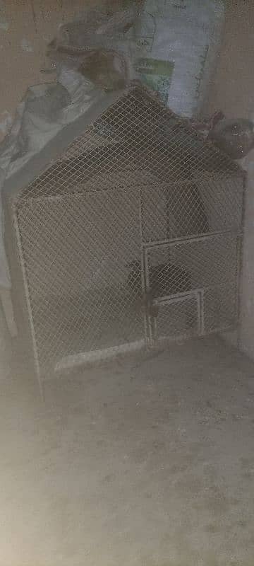 Hen cage for sell 0