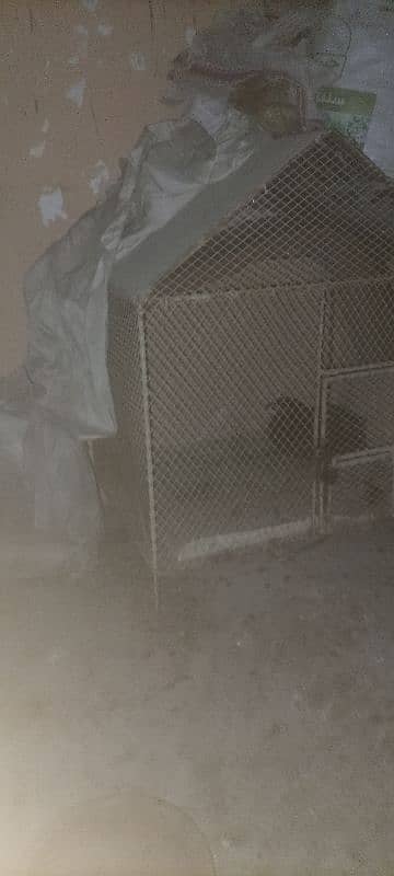 Hen cage for sell 1