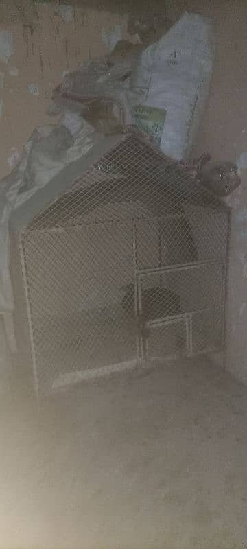 Hen cage for sell 5