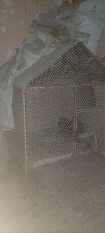 Hen cage for sell 7