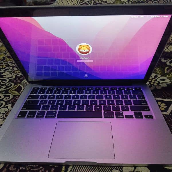 Apple MacBookPro2015Core i5 2.9Ghz(13.3-inch,16GB RAM 256GB SSD)Silver 0