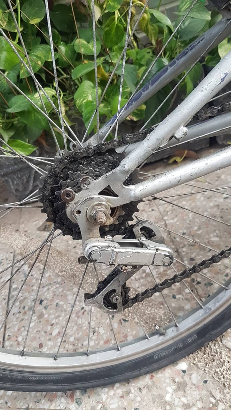american cycle with gears and dual shocks 9