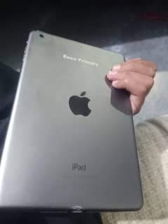 ipad mini2