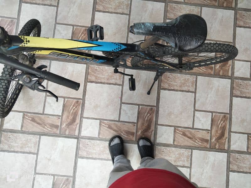 mountain bike 4