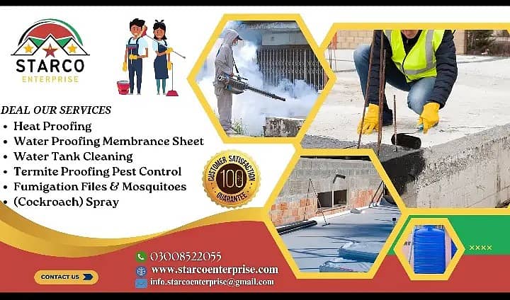 Pest Control/Termite Services/Dengue Control Spray/Fumigation Service 2