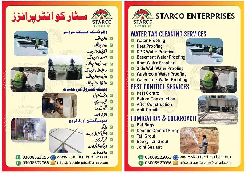 Pest Control/Termite Services/Dengue Control Spray/Fumigation Service 3