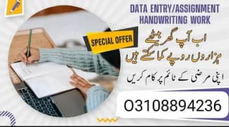 online Assignment work/Data entry/for male female