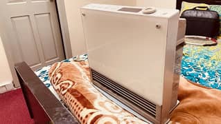 Hybrid Heater