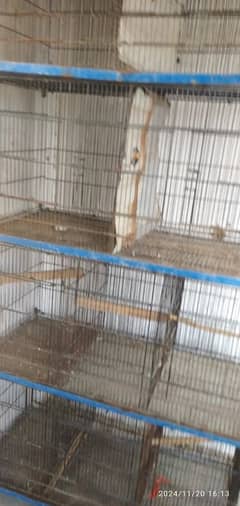 HEN WOODEN CAGE FOR SALE