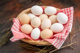 Dasi eggs for sale  Egg laying hens available for sale 700/kg