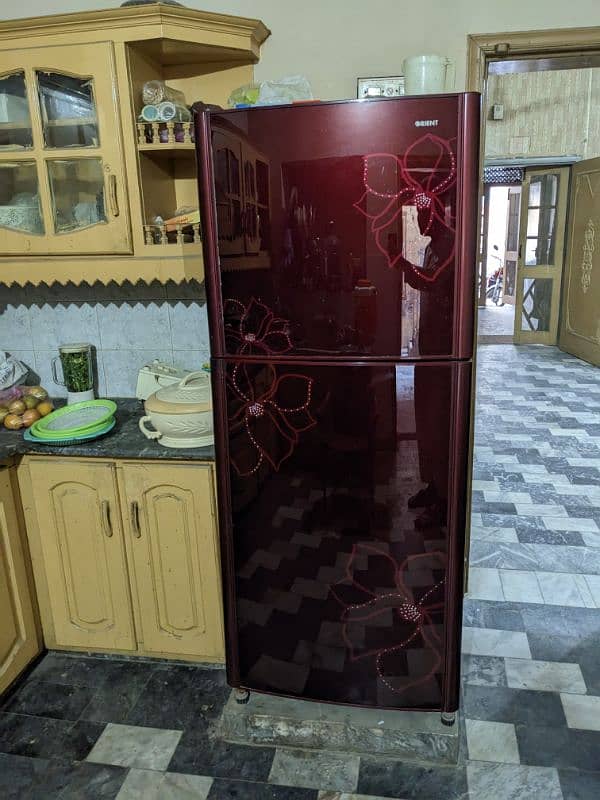 Orient Glassdoor Full Size Fridge 0