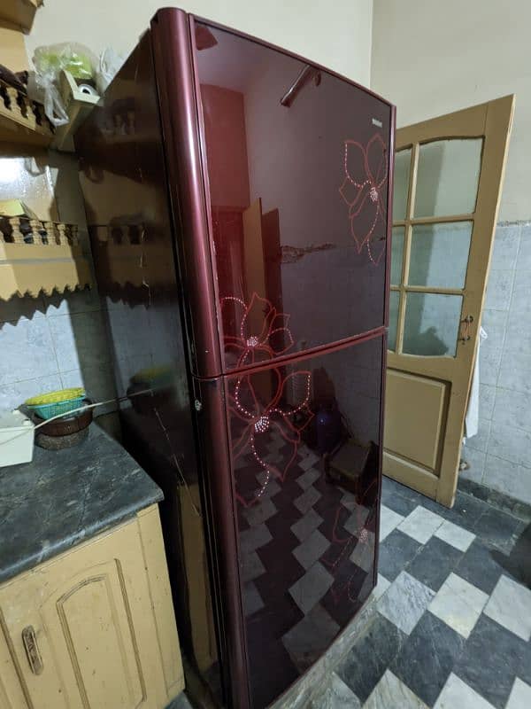 Orient Glassdoor Full Size Fridge 1