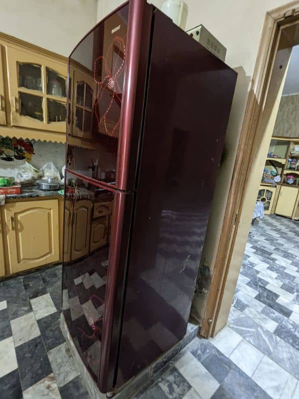 Orient Glassdoor Full Size Fridge 2