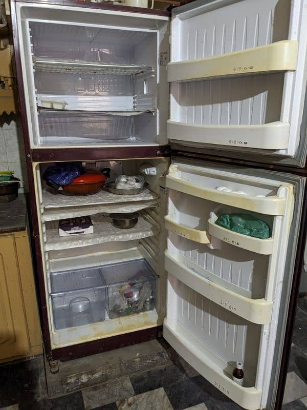 Orient Glassdoor Full Size Fridge 3