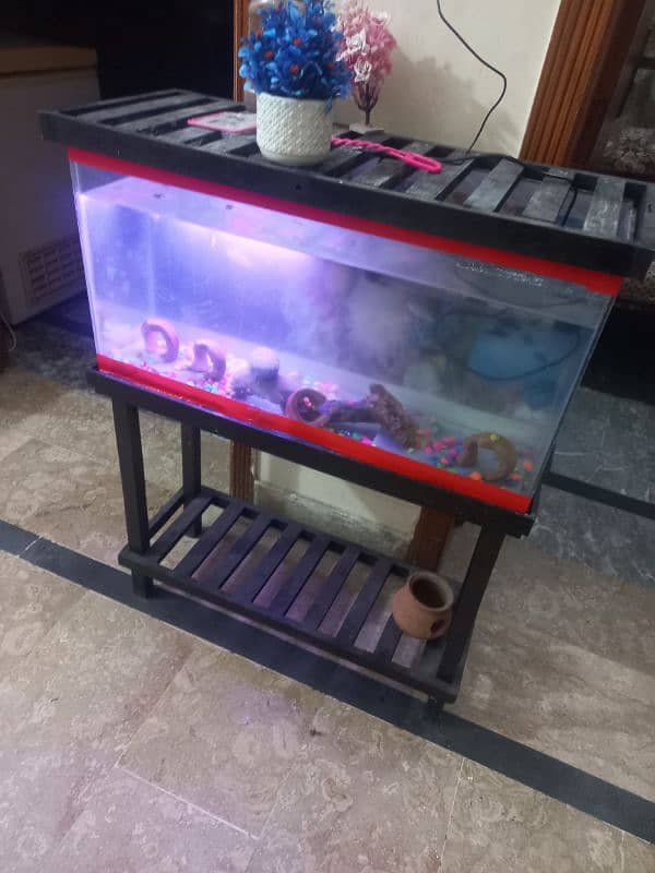 fish aquarium | fish box | glass aquarium 4