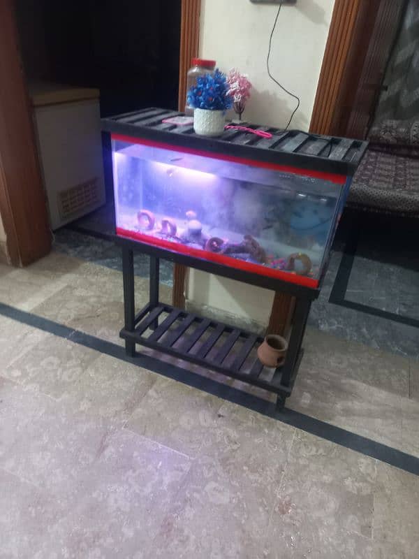 fish aquarium | fish box | glass aquarium 5