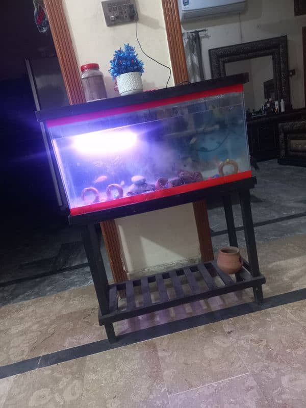 fish aquarium | fish box | glass aquarium 6