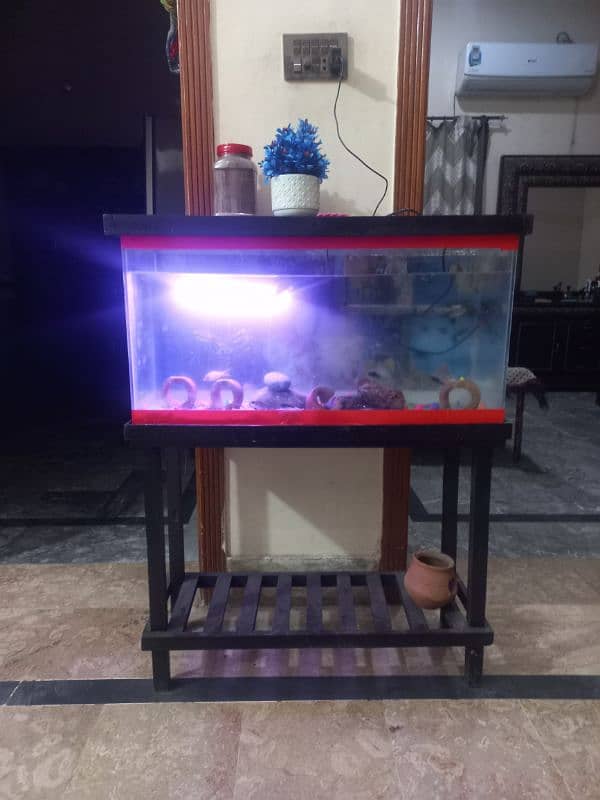 fish aquarium | fish box | glass aquarium 7