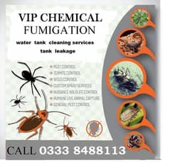 Pest control Fumigation Termite expert services in karachi