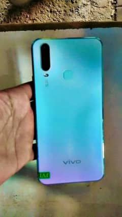 vivo